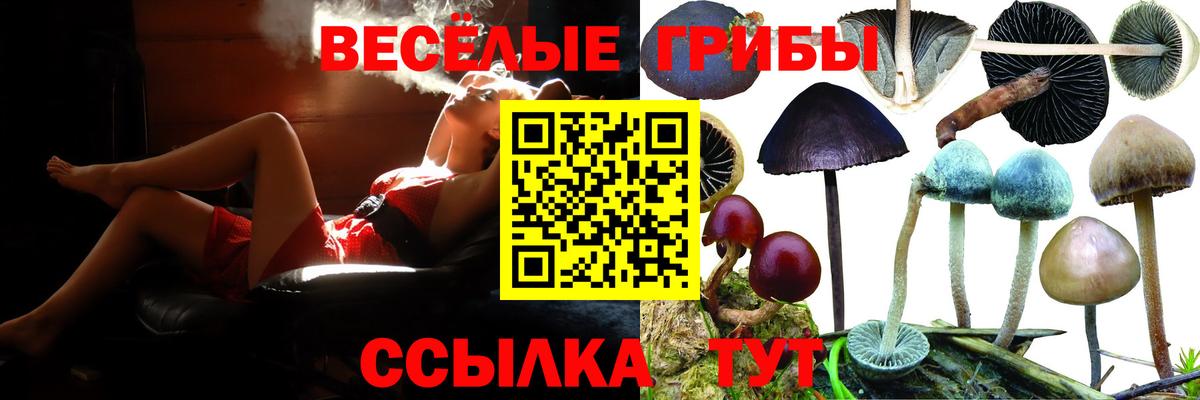 Химки  Галлюциногенные грибы мицелий  Псилоцибиновые грибы MAGIC MUSHROOMS  Вход с VPN 